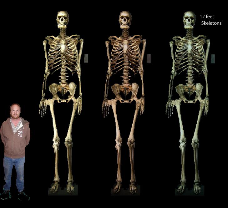 Documentalium: El gigante de Castelnau