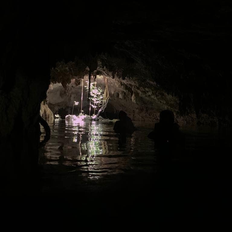 Imafen de TulumTours 28 de septiembre de 2020 ·