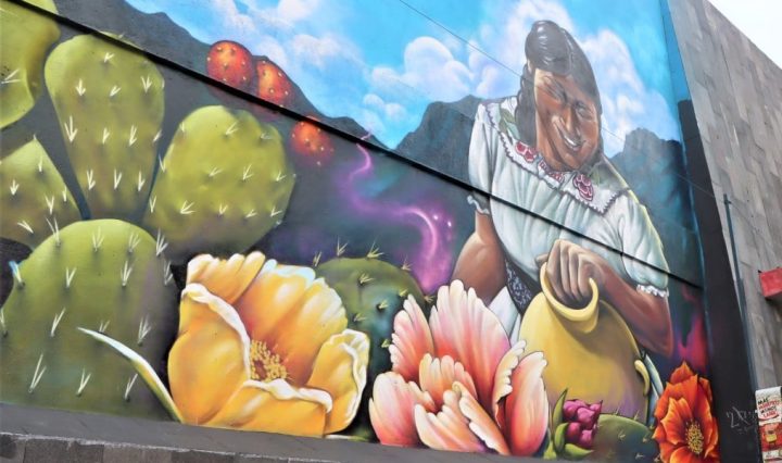 Imagen de alcaldía Milpa Alta