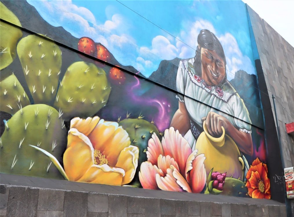 Imagen de alcaldía Milpa Alta