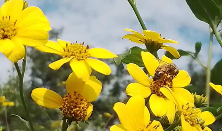 Imagen de La Casa del Apicultor 5 de noviembre de 2023 ·