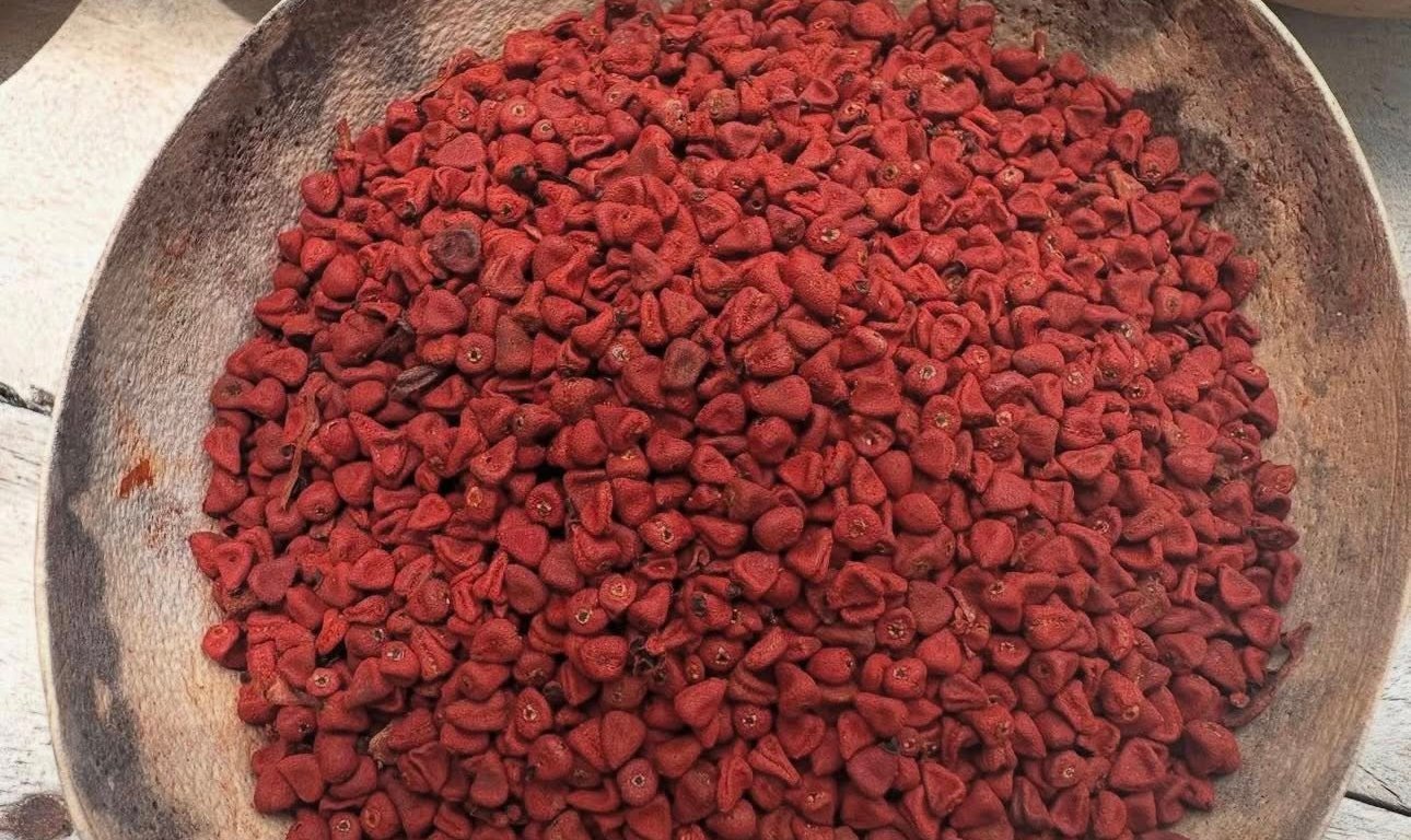 Imagen de Héroes campesinos 19 de junio de 2025 ·