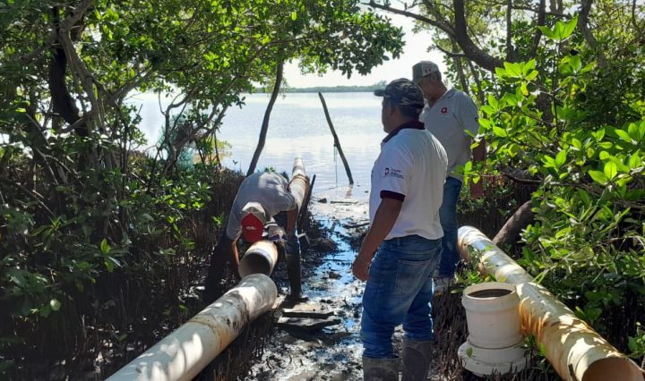 Imagen de CAPA - Comisión de Agua Potable y Alcantarillado de Q.Roo 20 de enero a las 10:43 a. m. ·
