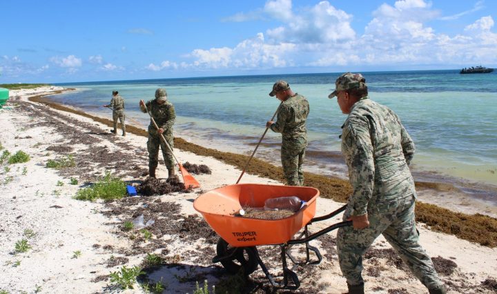 Imagen de Secretaría de Marina 5 de diciembre de 2025 ·