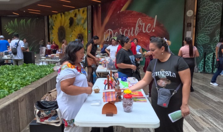 Imagen de Mtz Flores Pablo 1 h · Cancún ·