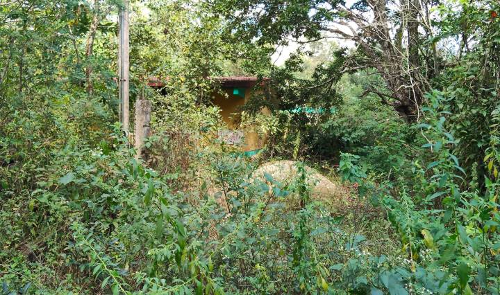 Imagen de Roberth-tainment MX