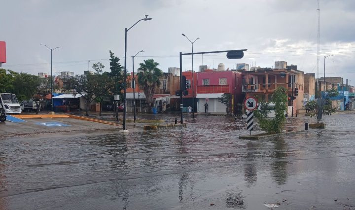 Imagen de Carlos Morales