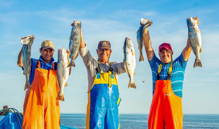 Imagen de AgriculturaMex 26 de enero a la 1:15 p. m. ·