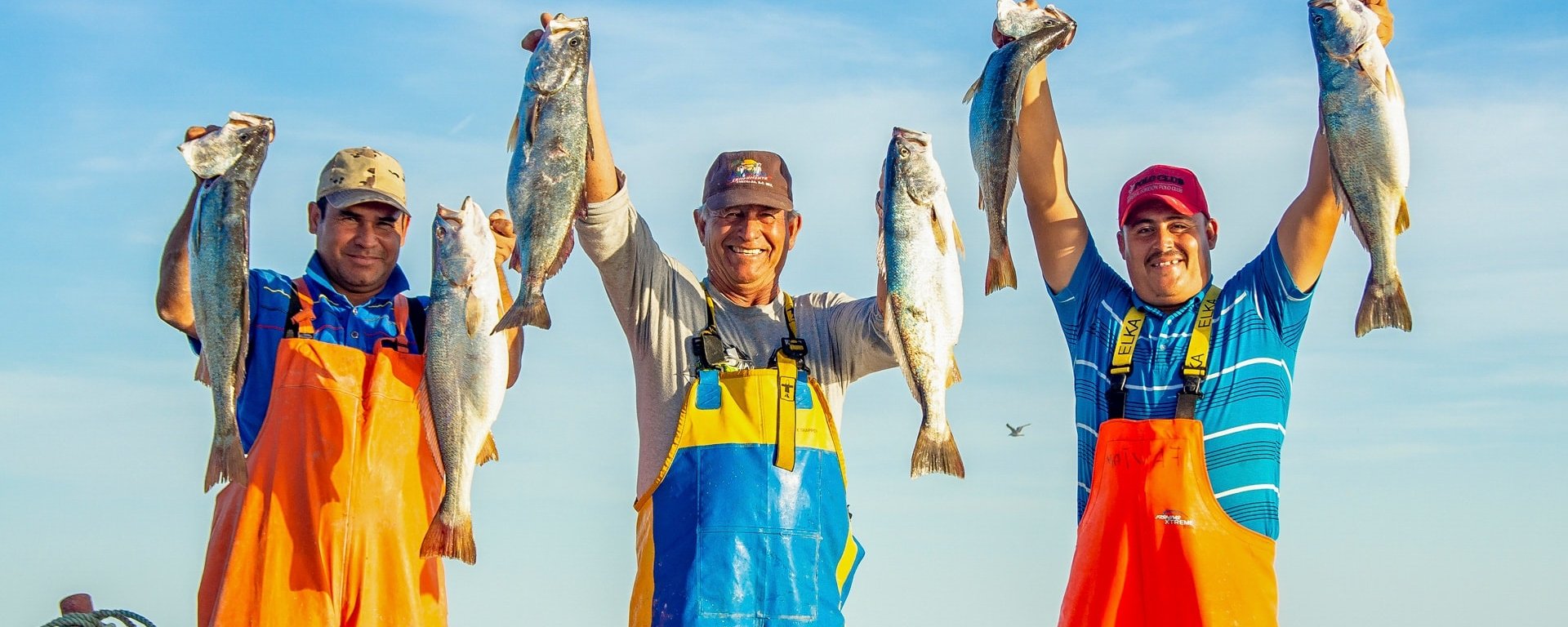 Imagen de AgriculturaMex 26 de enero a la 1:15 p. m. ·