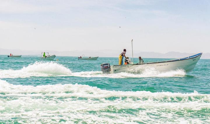 Imagend e AgriculturaMex 27 de enero a las 12:59 p. m. ·