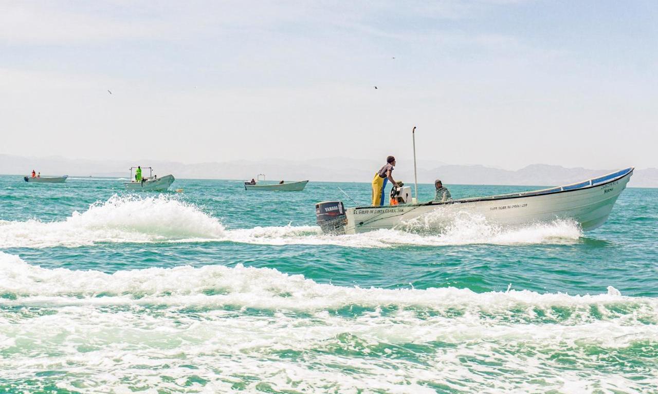 Imagend e AgriculturaMex 27 de enero a las 12:59 p. m. ·