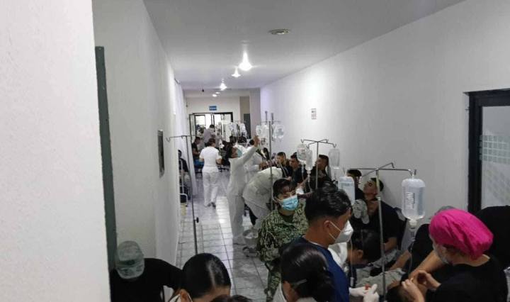 Imagen de Cabeza Olmeca