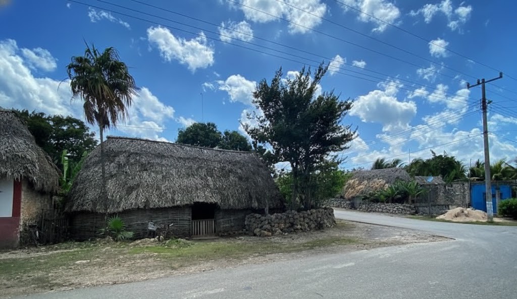 Imagen representativa IA