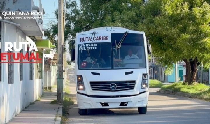 Imagen representativa IA