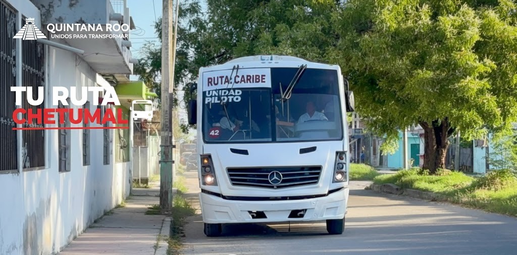 Imagen representativa IA