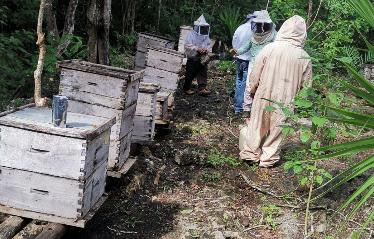 iamgen de Kantunilkín Rogelio Baruch