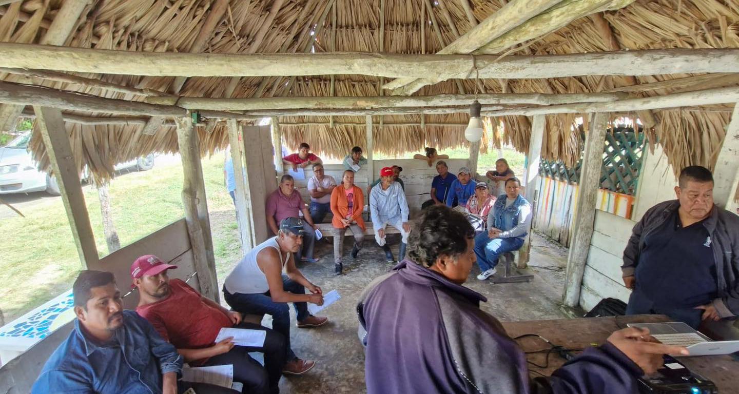 IMAGEN DE H. Ayuntamiento de Othón P. Blanco