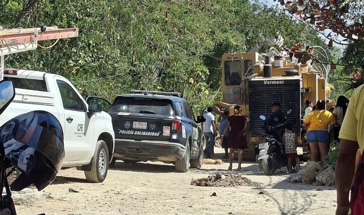 Imagen de Lupita Vidal