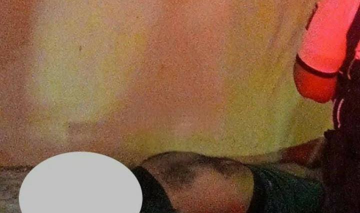 Imagen de Operadores turisticos de playa del Carmen noticias