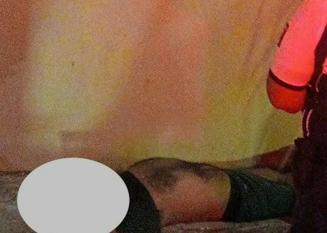 Imagen de Operadores turisticos de playa del Carmen noticias