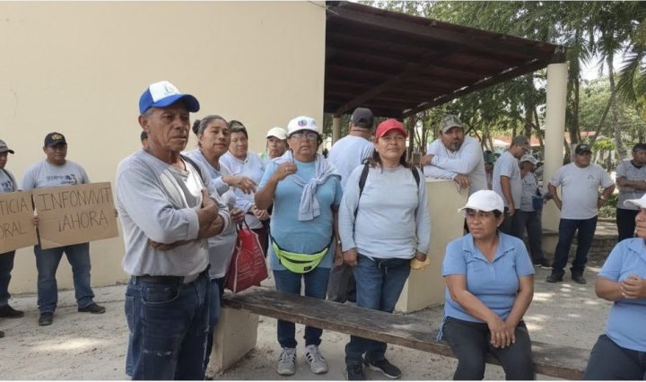 iamgen ia representativa