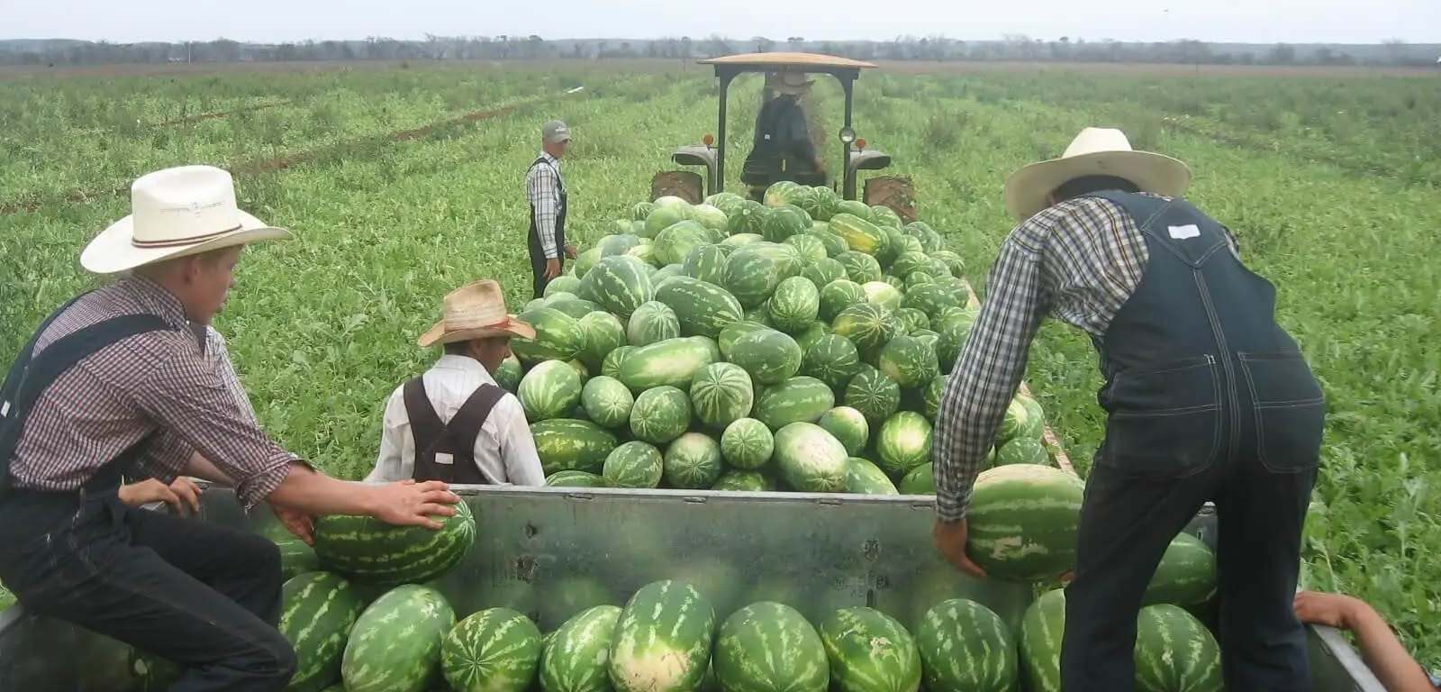 Imagen de Andador 19 19 de junio de 2025 ·