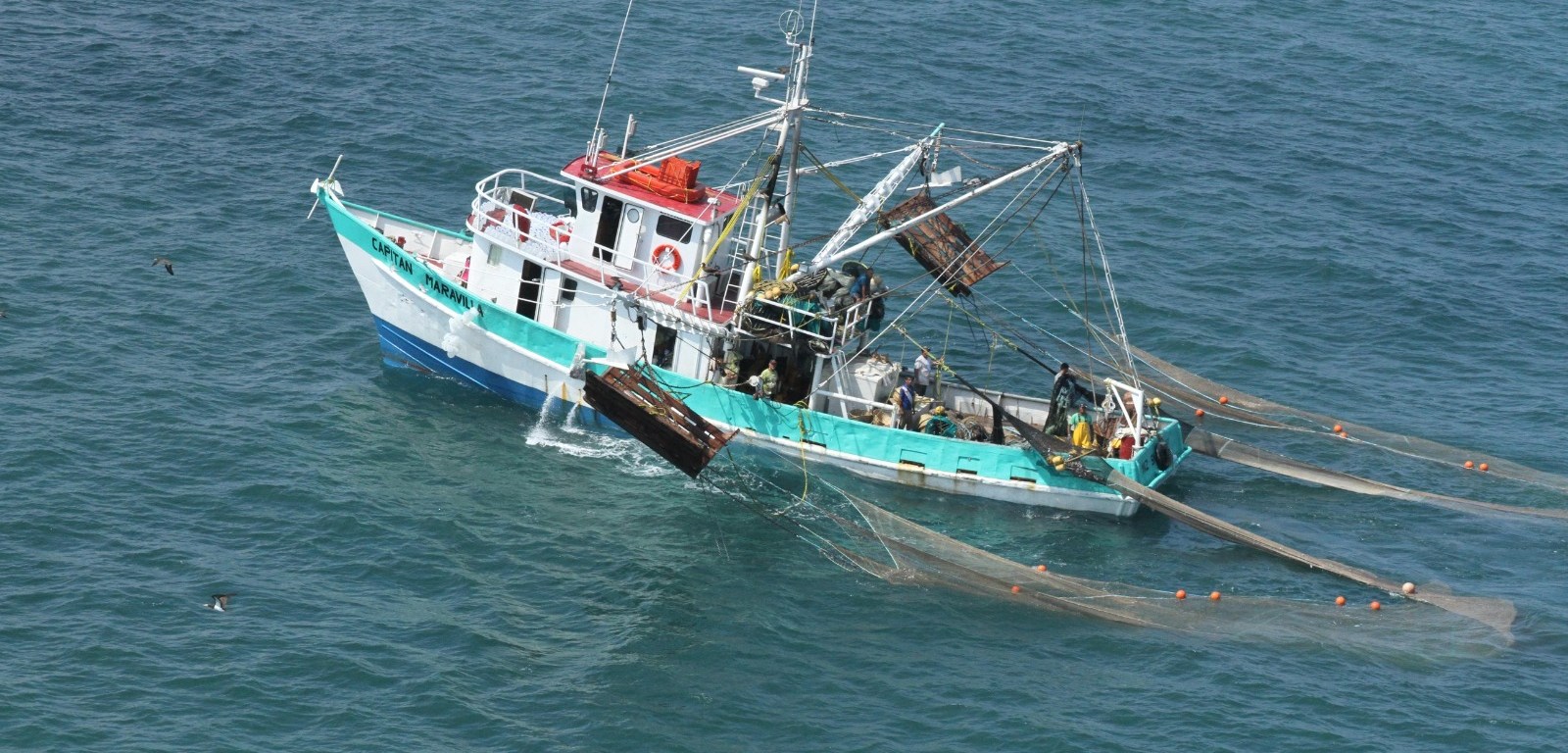 Imagen de AgriculturaMex 10 de febrero a las 10:23 a. m. · #Comunicado