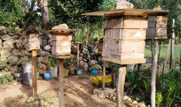 Imagen de Voz de Mujer Peninsular 11 de febrero at 4:47 a. m. ·