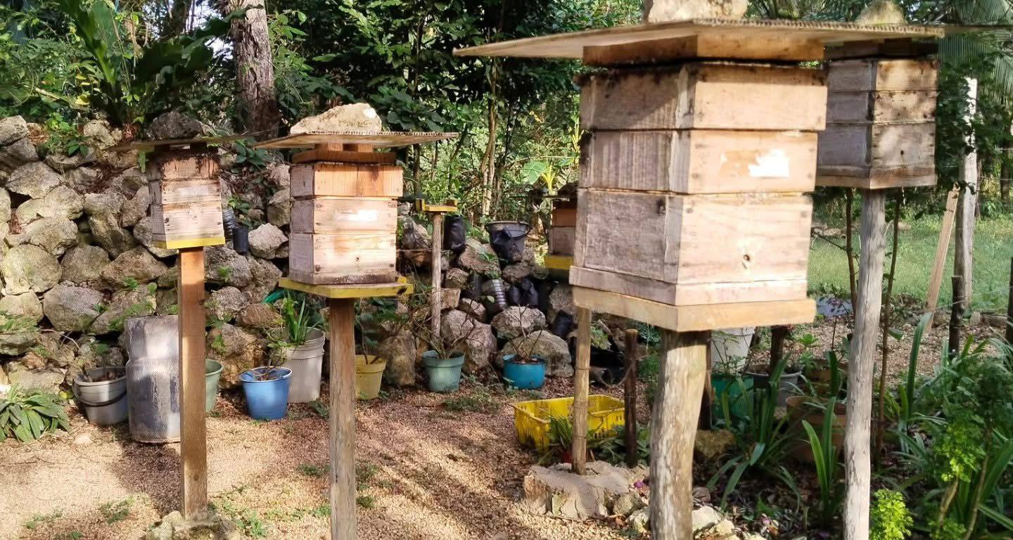 Imagen de Voz de Mujer Peninsular 11 de febrero at 4:47 a. m. ·