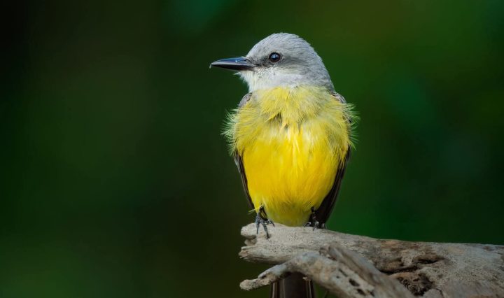 Imagen de Paal Ki’imak Akumal / Niños felices Akumal