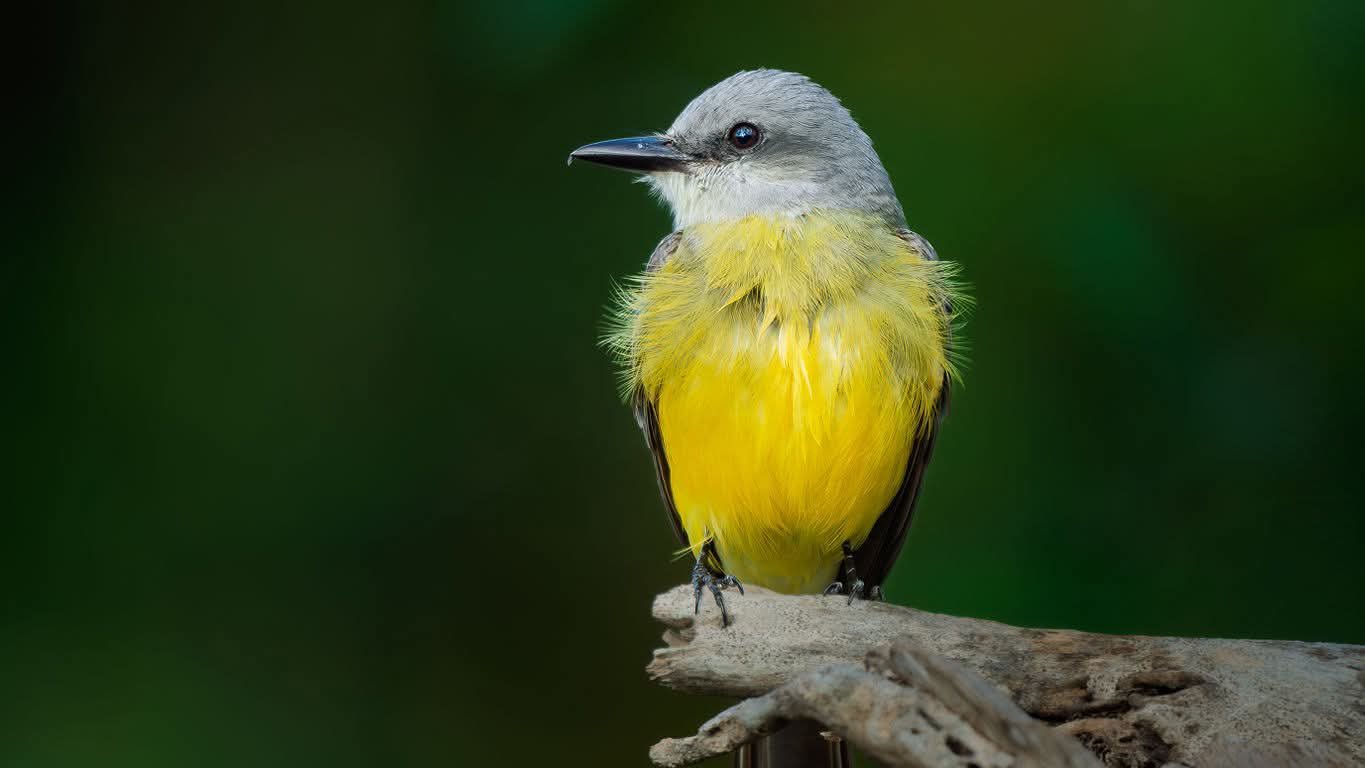 Imagen de Paal Ki’imak Akumal / Niños felices Akumal