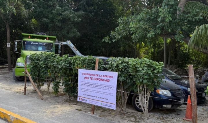 Imagen de Alerta Tulum 1 h ·