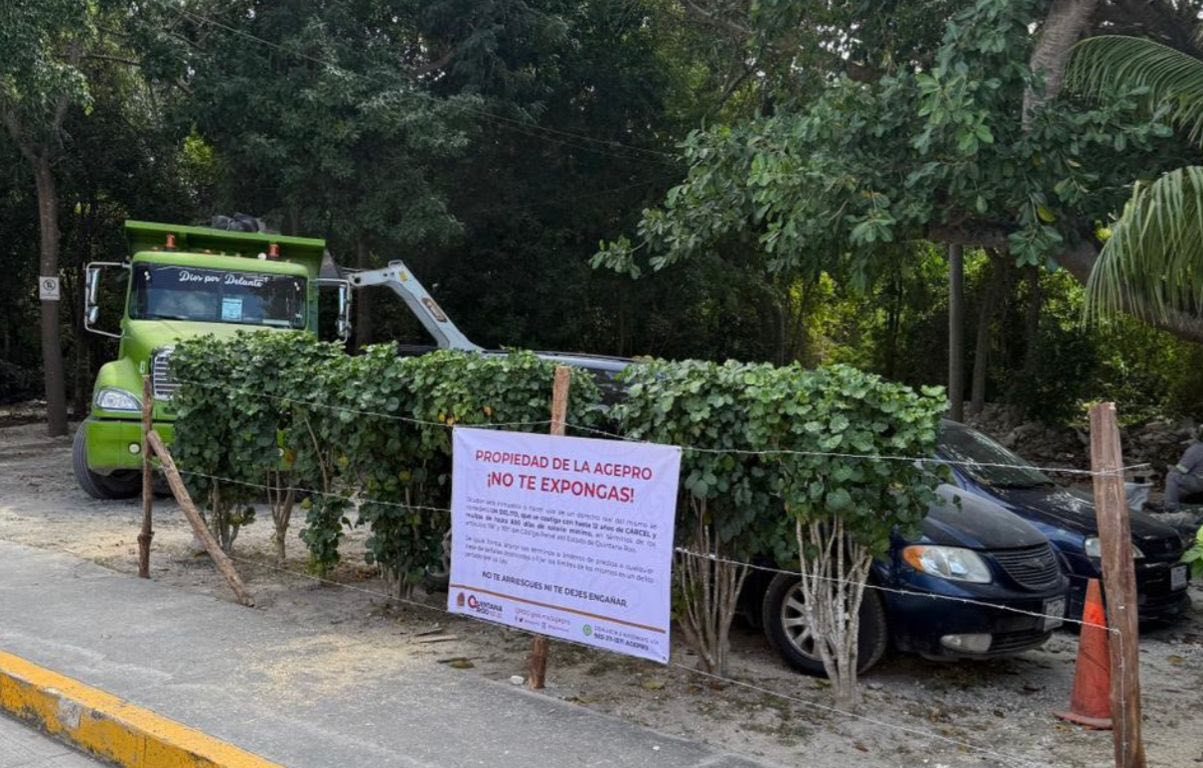 Imagen de Alerta Tulum 1 h ·