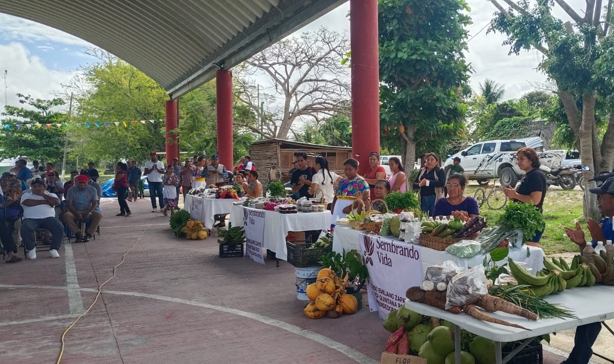 Imagen de Sembrando Vida FCP II 13 de marzo a las 10:44 p. m. ·
