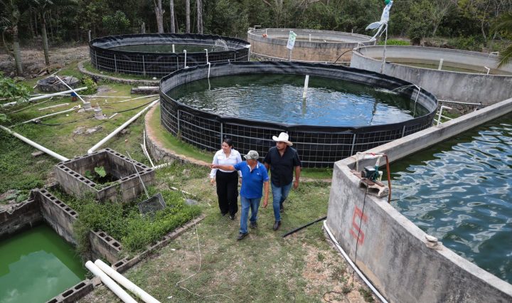 Imagen de NIA Hernández · Seg