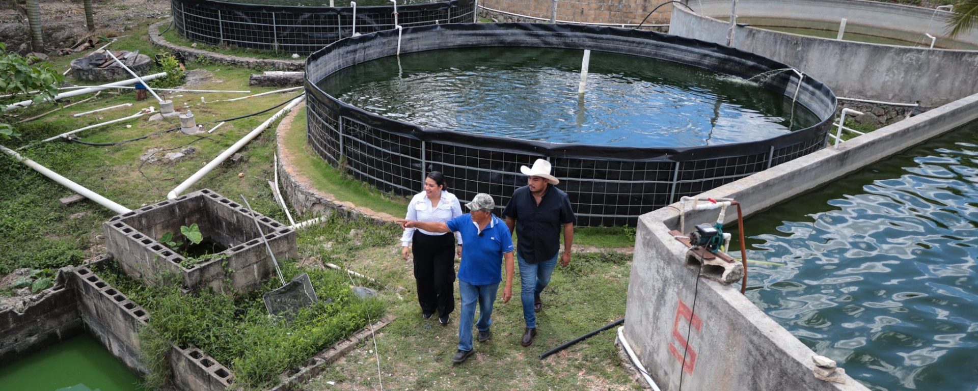 Imagen de NIA Hernández · Seg