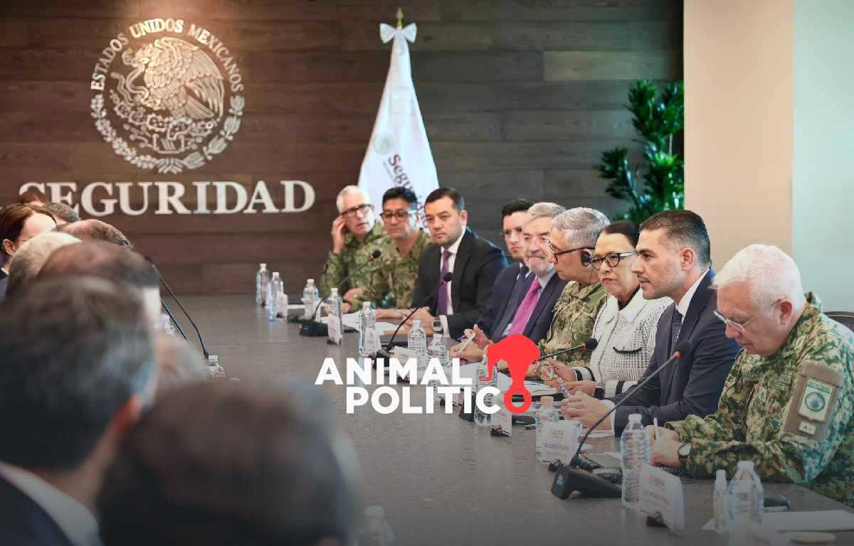 Imagen de https://www.instagram.com/p/DVfaELyDp6U/