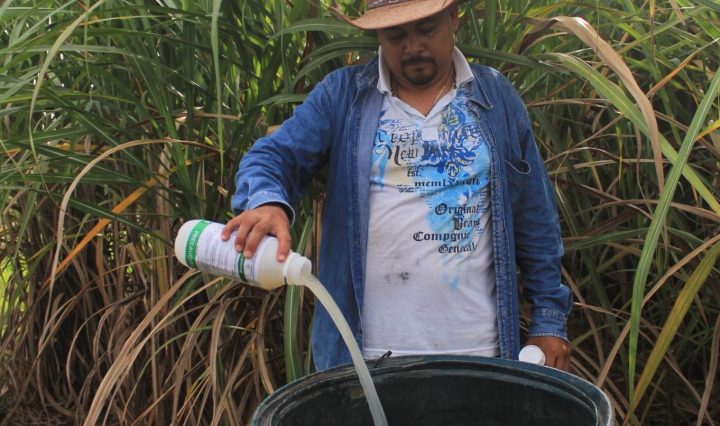 Imagen de Secretaría de Desarrollo Agropecuario, Rural y Pesca. 21 de octubre de 2025 ·