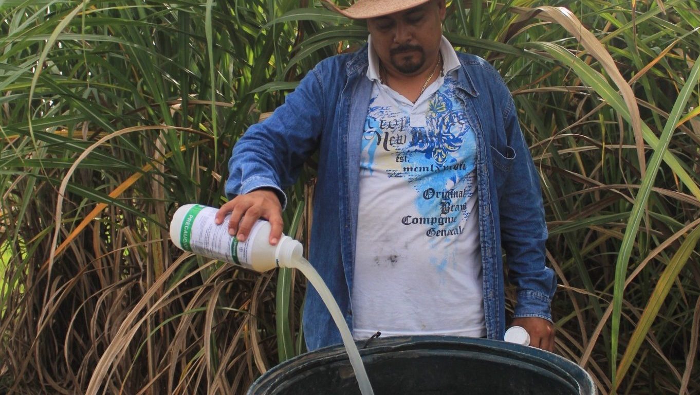 Imagen de Secretaría de Desarrollo Agropecuario, Rural y Pesca. 21 de octubre de 2025 ·