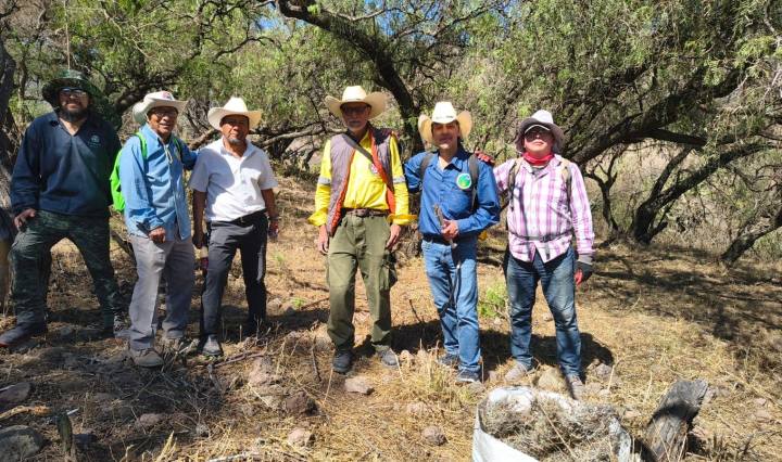 Imagen de https://www.facebook.com/GuardianesdelEhecatlySierradeGuadalupe/photos