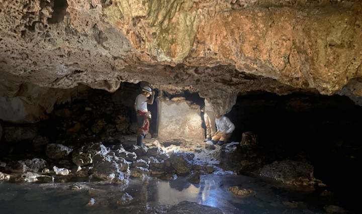 Imagen de ARTICULOS ARBITRADOS Un Templo en el Corazón de la Ciudad: María Fernanda Ramírez Islas El Templo de la Estalagmita, Playa del Carmen, Quintana Roo. Nancy Acosta Sánchez Historia, Evaluación y Propuestas Jesús Manuel Gallegos Flores Sección: Artículos Arbitrados. Coordinación: Graciela Aurora Mota Botello. Colaboración: Thalía Pérez Moreno Revista MEC-EDUPAZ, Universidad Nacional Autónoma de México / ISSN No. 2007-4778. No. XXVIII. Septiembre-Marzo, 2025El 5 de noviembre de 2022 acudieron el espeleobuzo Germán Yáñez Mendoza, del Círculo Espeleológico del Mayab A.C. (CEM); los arqueólogos M. Fernanda Ramírez Islas, Josué Tonatiuh Guzmán Torres y el técnico Gabriel Quetz León, personal de contrato SAS-INAH; el arqueólogo Jesús Manuel Gallegos Flores, (PROMEZA-INAH) y el espeleólogo Mitchel Vázquez Robles (CEM), grupo coordinado por la maestra Helena Barba Meinecke (SAS-INAH). Se contó con la presencia de la ingeniera Nancy Acosta Sánchez, Coordinadora de la Gestión de Proyectos Ambientales, y el inspector Julio César Peralta Barzón, de la Dirección de Medio Ambiente Sustentable y Cambio Climático, representantes del municipio de Solidaridad, Quintana Roo.Figura 4. Documentación realizada por miembros de la SAS-INAH, CEM, y el municipio de Solidaridad. © Archivo SAS-INAH, 2022. Fotografía: M. Fernanda Ramírez Islas.