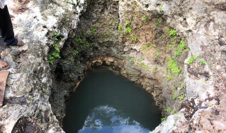 Imagen de LA RUTA DE LOS CENOTES