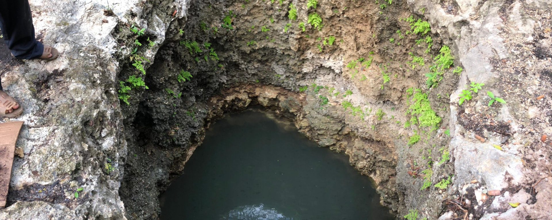 Imagen de LA RUTA DE LOS CENOTES