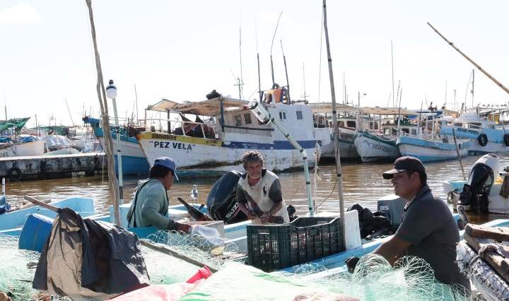 Imagen de Secretaría de Pesca y Acuacultura Sustentables de Yucatán 2͏8͏ ͏d͏e͏ ͏n͏o͏v͏i͏e͏m͏b͏r͏e͏ ͏d͏e͏ ͏2͏0͏2͏4͏ ·