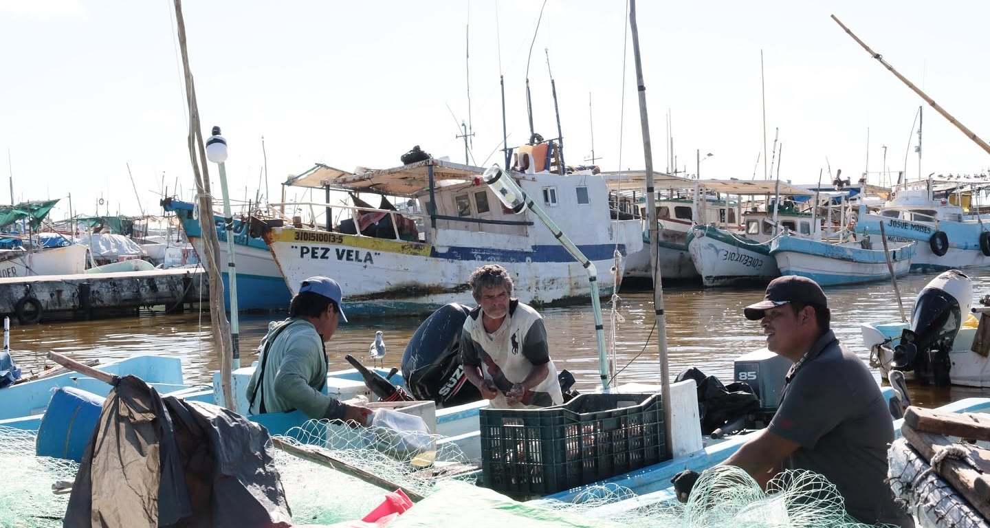Imagen de Secretaría de Pesca y Acuacultura Sustentables de Yucatán 2͏8͏ ͏d͏e͏ ͏n͏o͏v͏i͏e͏m͏b͏r͏e͏ ͏d͏e͏ ͏2͏0͏2͏4͏ ·