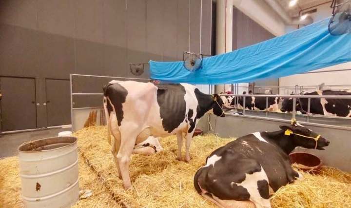 Imagen de Secretaría de Agricultura y Desarrollo Rural﻿ 2͏7͏ ͏d͏e͏ ͏j͏u͏l͏i͏o͏ ͏a͏ ͏l͏a͏s͏ ͏3͏:͏0͏4͏ ͏p͏.͏ ͏m͏.͏ ·