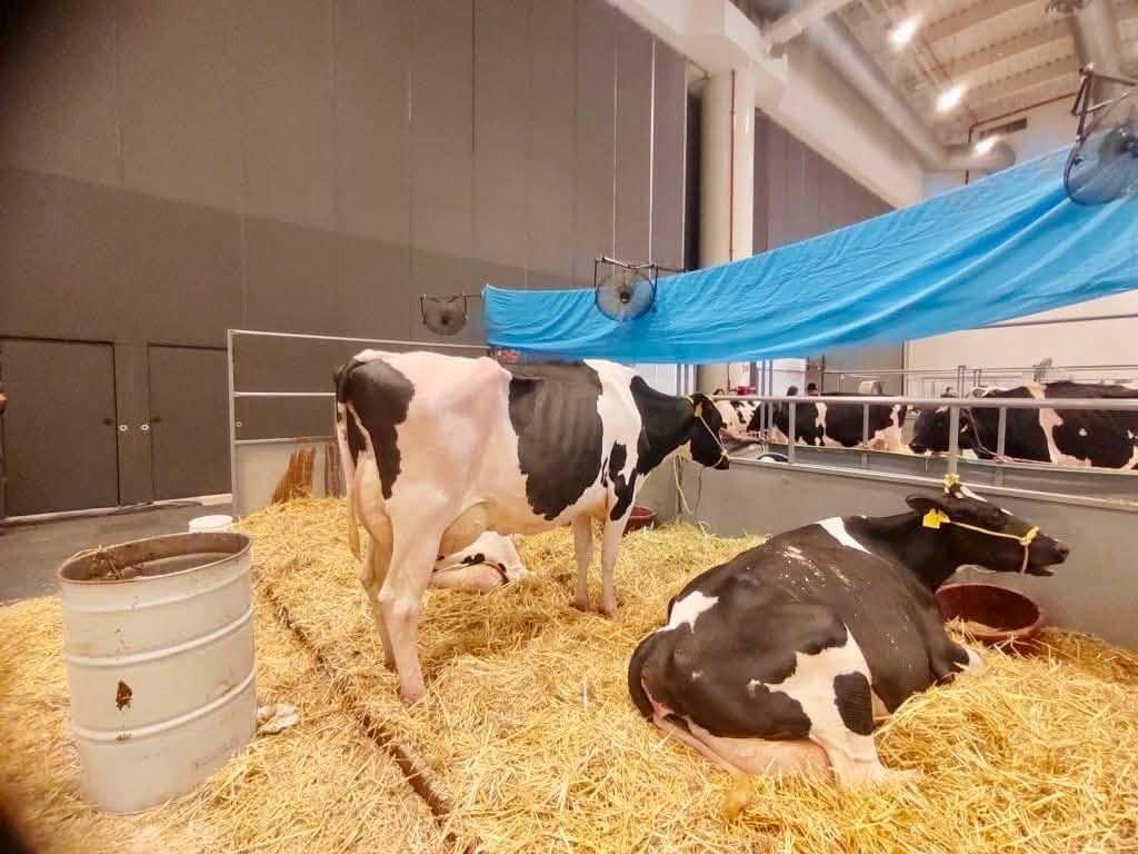 Imagen de Secretaría de Agricultura y Desarrollo Rural﻿ 2͏7͏ ͏d͏e͏ ͏j͏u͏l͏i͏o͏ ͏a͏ ͏l͏a͏s͏ ͏3͏:͏0͏4͏ ͏p͏.͏ ͏m͏.͏ ·